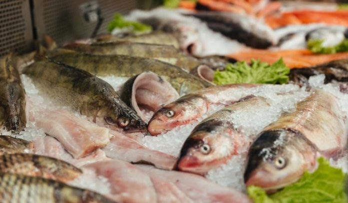 peixe-peixaria-310326