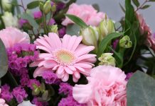 Emoção desafia previsões e redefine demanda no varejo Emoção desafia previsões e redefine demanda no varejo