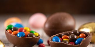 Chocolate é altamente tóxico para os cães