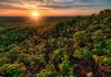 Ecora abre consulta pública na área de créditos de carbono