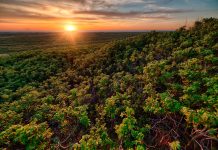 Ecora abre consulta pública na área de créditos de carbono