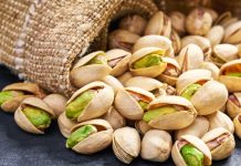 História do pistache revela expansão ao longo dos séculos