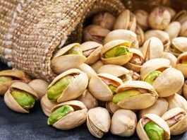 História do pistache revela expansão ao longo dos séculos