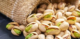 História do pistache revela expansão ao longo dos séculos