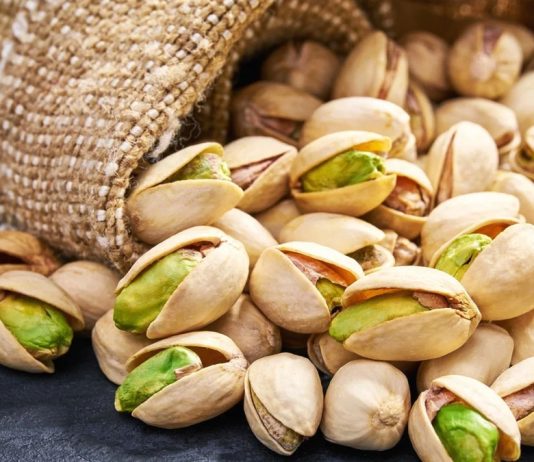 História do pistache revela expansão ao longo dos séculos