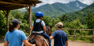 Iniciativa promove equoterapia gratuita no litoral do Paraná