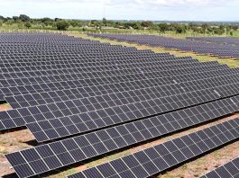 Selo ClickREC garante fornecimento de energia 100% limpa