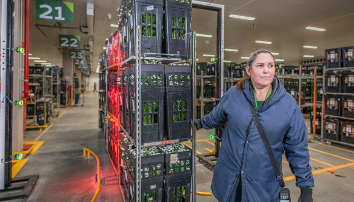 Presença feminina avança e impulsiona a logística Presença feminina avança e impulsiona a logística