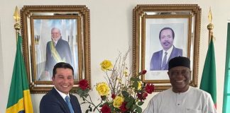 Produto brasileiro ganha apoio internacional contra malária