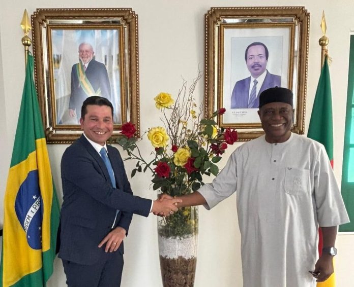 Produto brasileiro ganha apoio internacional contra malária