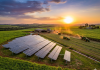 Energia solar transforma produtividade do agronegócio