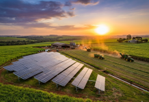 Energia solar transforma produtividade do agronegócio