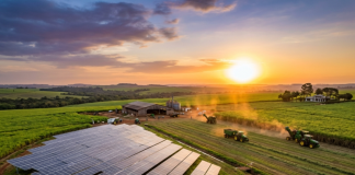 Energia solar transforma produtividade do agronegócio