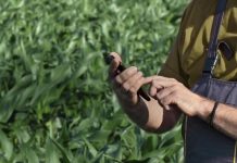 Agrishow: DJI Agriculture apresenta o DJI SmartFarm