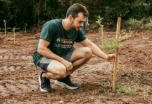 Dia da Terra: Nova Acrópole promove diálogos com cientistas Dia da Terra: Nova Acrópole promove diálogos com cientistas