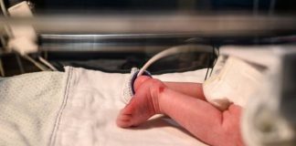 Bebês com infecção na UTI Neonatal do HC de Botucatu seguem internados e sob cuidados médicos