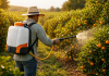 Gulf Oil Brasil lança embalagem de 1 litro do adjuvante agrícola Gulf Oil Brasil lança embalagem de 1 litro do adjuvante agrícola