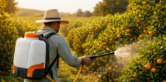 Gulf Oil Brasil lança embalagem de 1 litro do adjuvante agrícola