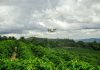 Relatório global DJI comprova benefício ambiental dos drones