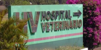Hospital Veterinário da Unesp suspende atendimento de pequenos animais neste fim de semana em Botucatu