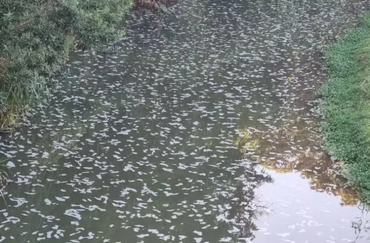 Botucatu: Erosão danifica tubulação de esgoto e espuma atinge o Rio Lavapés