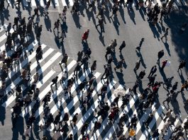 SLBs expõem novo risco financeiro do ESG para CFOs