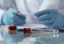 OMS declara emergência internacional por surto de ebola