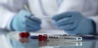 OMS declara emergência internacional por surto de ebola