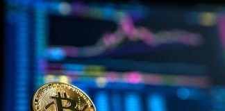 Ripio orienta como declarar criptoativos no Imposto de Renda