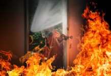 Incêndios em alta reforçam importância das brigadas