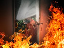 Incêndios em alta reforçam importância das brigadas