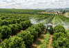 Gulf Oil Brasil segue agenda de eventos no agro