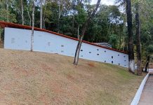 Setor funerário se adapta à despedida humanizada de pets