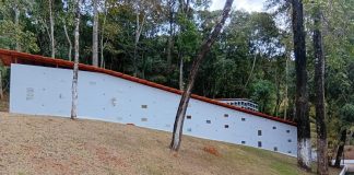 Setor funerário se adapta à despedida humanizada de pets