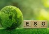 Adequação aos padrões ESG é uma tendência nas empresas