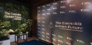 Cannabis medicinal impulsiona debate médico no Brasil