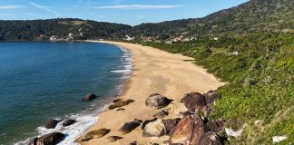 Imóveis na Interpraias devem valorizar até 50% em dois anos Imóveis na Interpraias devem valorizar até 50% em dois anos