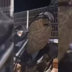 Abelhas escolhem moto para ‘descansar’ e mobilizam Vigilância Ambiental em Botucatu; vídeo