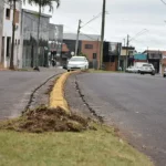 Botucatu: Avenida Vital Brasil recebe revitalização dos canteiros centrais
