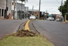 Botucatu: Avenida Vital Brasil recebe revitalização dos canteiros centrais