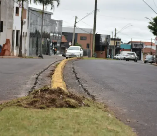 Botucatu: Avenida Vital Brasil recebe revitalização dos canteiros centrais