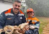 Cachorro idoso e com deficiência visual é resgatado de córrego em Botucatu