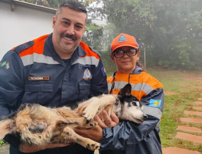defesa-civil-botucatu-cachorro-160526