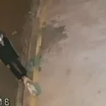 Vídeo mostra casal pegando cachorra desaparecida e família oferece recompensa em Botucatu
