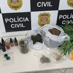 Homem é preso após DISE localizar pés de maconha, cogumelos e óleo da droga em residência de Botucatu