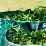 Onde descartar galhos em Botucatu: Cidade amplia ecopontos gratuitos