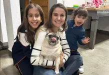 Após mobilização nas redes sociais, cachorrinha Dora é devolvida para família em Botucatu