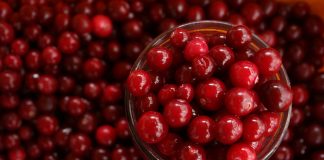 Cranberry ganha espaço como aliado na saúde