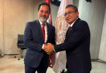 Proposta da AMIG cria comitê mineral para a América Latina