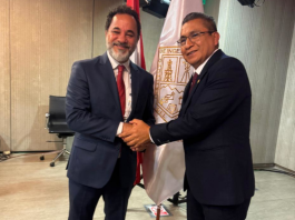 Proposta da AMIG cria comitê mineral para a América Latina